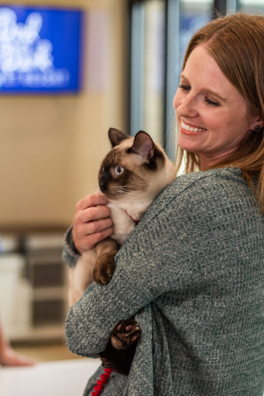 Cat being Picked up from Stay at Bed & Bark